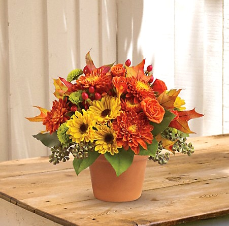 Sugar maples Bouquet